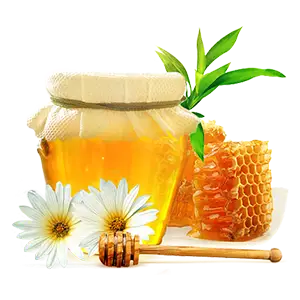 Bee honey