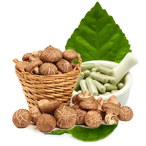 Supplements