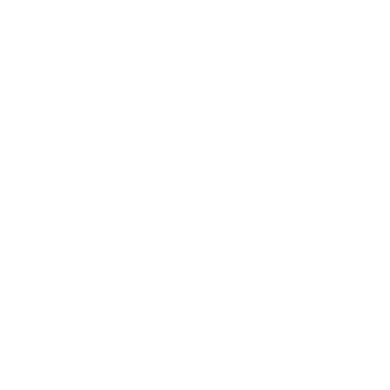 Experienced team