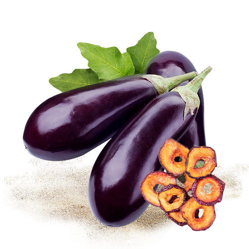 Dehydrated Brinjal (Eggplant) 2