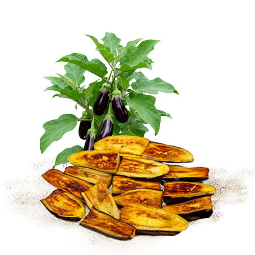 Dehydrated Brinjal (Eggplant) 3