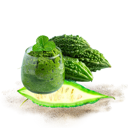 Dehydrated Bitter Gourd 3
