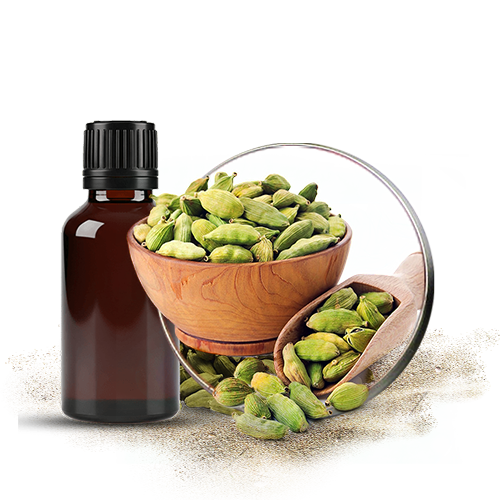 Green Cardamom 4