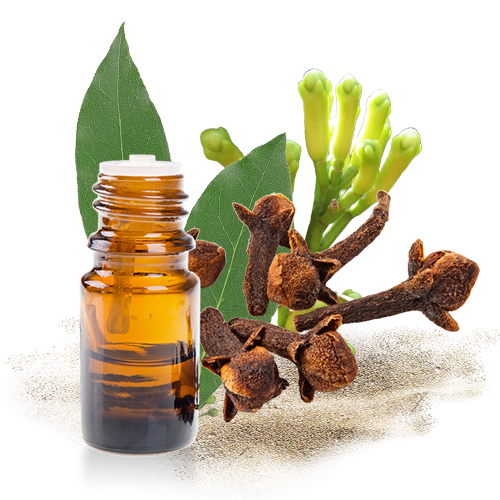Premium Ceylon Cloves 3