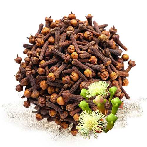 Premium Ceylon Cloves 4