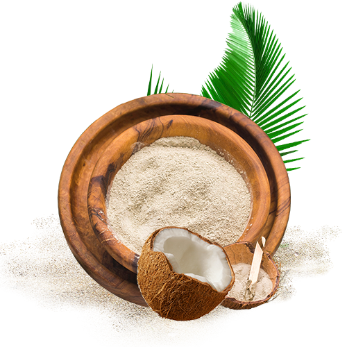 Coconut Flour 2