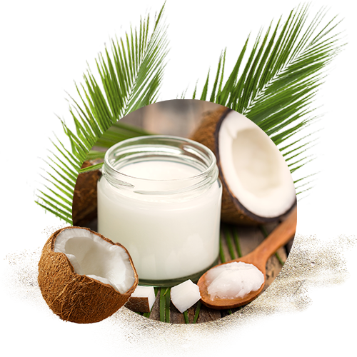 Coconut Flour 3