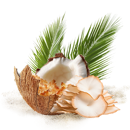 Desiccated Coconut 3