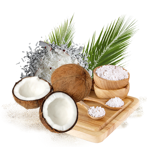 Desiccated Coconut 4