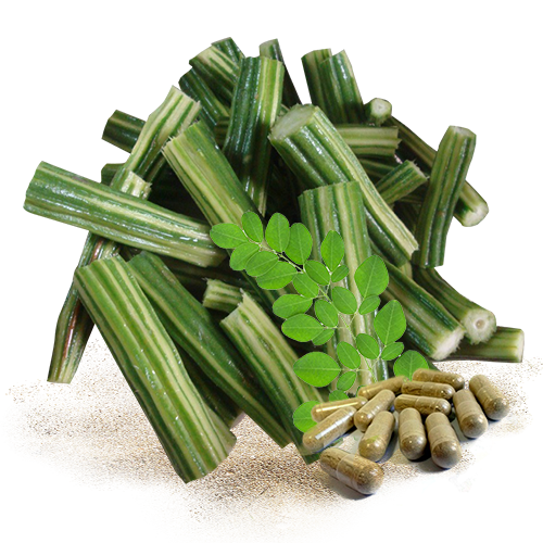 Dehydrated drumsticks 4