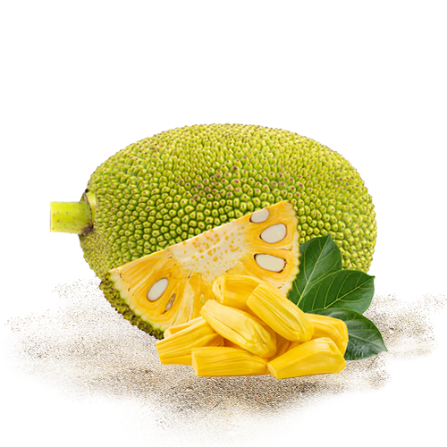 Dehydrated Jack Fruits 2