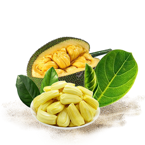 Dehydrated Jack Fruits 3