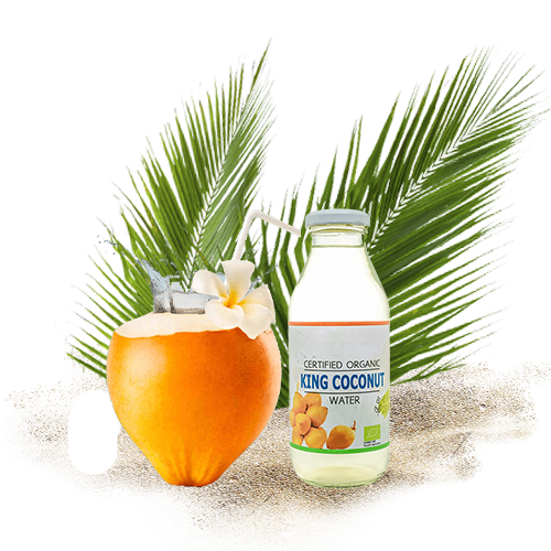 King Coconut 3