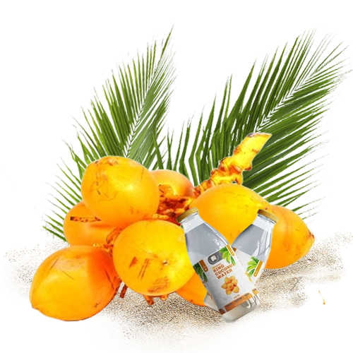 King Coconut 4