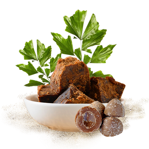 Kithul Jaggery 3