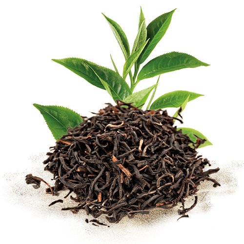 Premium Ceylon Tea 3