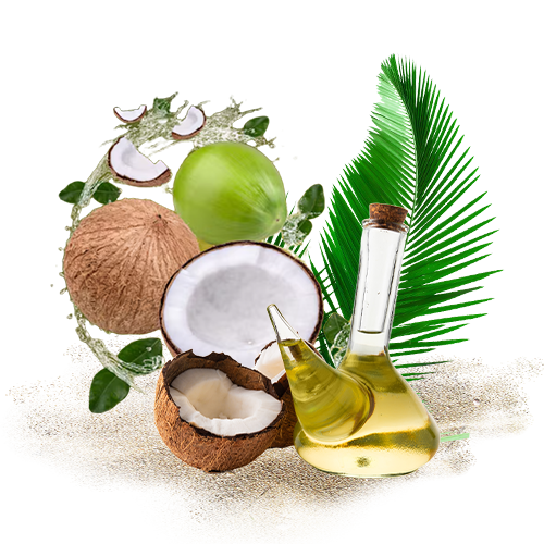 Virgin Coconut Oil 3